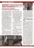 L'ORIZZONTE : MARZO 2008